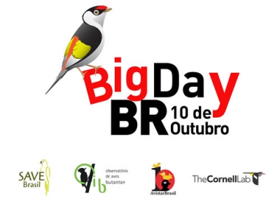 Big Day Brasil Primavera 2015