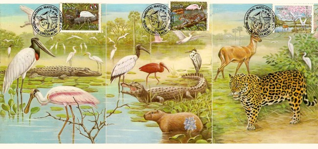Pantanal Mato-Grossense - Fauna e Flora