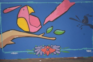 Aves nos Graffitis
